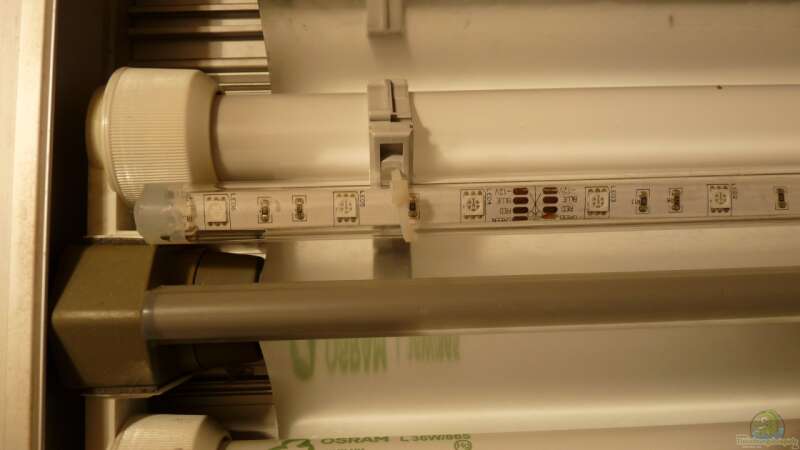 LED-Stripes in Plexiglasröhre für die Nachtbeleuchtung von Guzzi-Werner (26)
