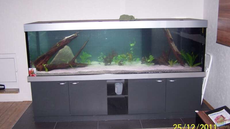Aquarium Becken 24596 von Stefan Arenth (14)