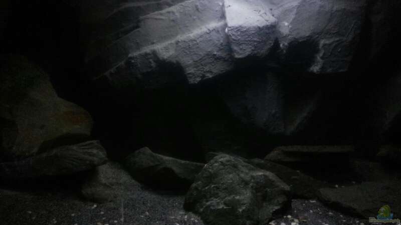 Aquarium Dark Cave of Masala Island von Julien Preuß (11)