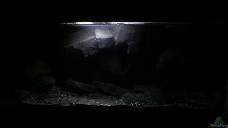 Aquarium Dark Cave of Masala Island von Julien Preuß (4)