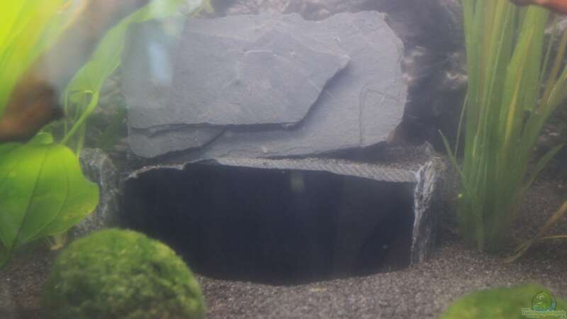 große Höhle aus schwarzen Schiefersteinen (verklebt), hinter der aufrechten Platte von GothRiderz (11)