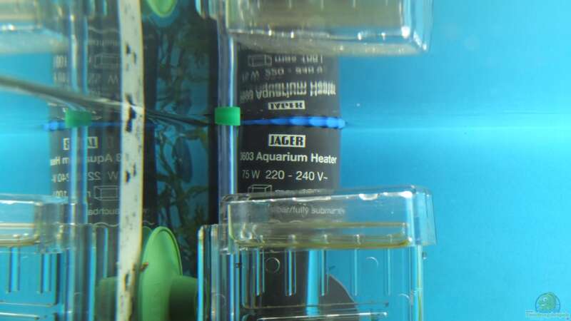 75 Watt Jäger Heizer von axolotl (30)