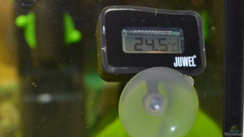 Juwel Thermometer (Bild ist vormittags aufgenommen worden) von Lilobär (18)