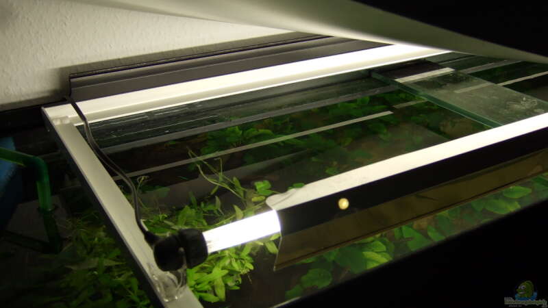 Technik im Aquarium Amazonas im Wohnzimmer von Süsswasserskipper (11)