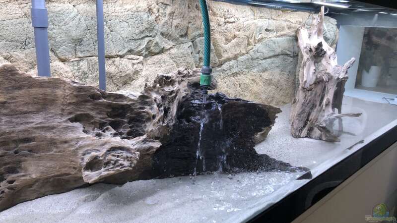Die ersten Wassertropfen... von Hippopotan (21)