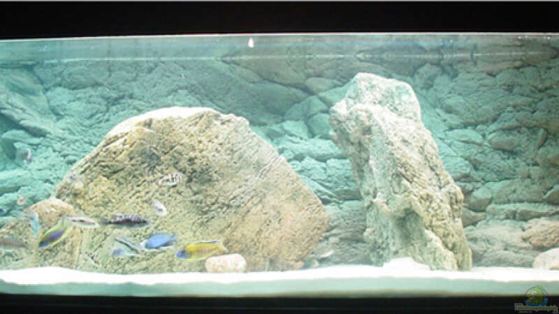 Aquarium Hauptansicht von Becken 2583 von Marco Camillo (1)