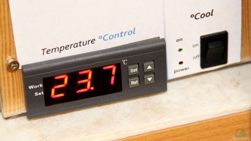 Thermostat und Ein/Ausschalter für Lüfter (ersetzt/erweitert) von c-th (15)