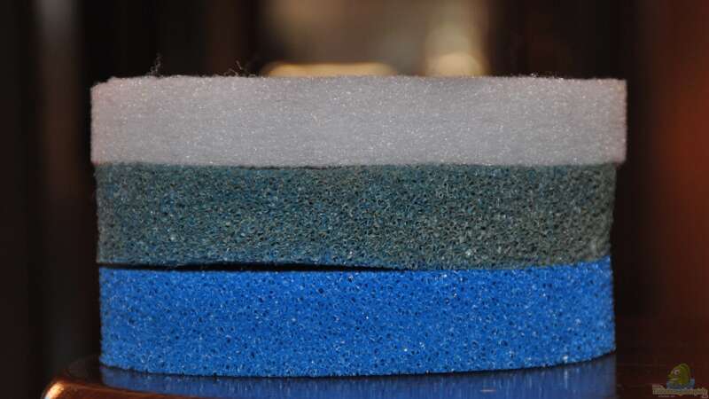 filter material: sponge, perlon, in addition to ceramic biofilter von lomarraco (44)