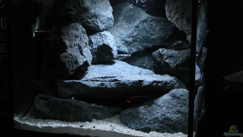 Aquarium Rocks for Variabilichromis von Julien Preuß (20)
