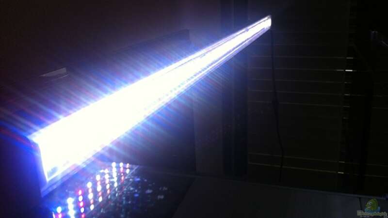 LED Sunstrip CoralPlant (180cm) von axxo (15)