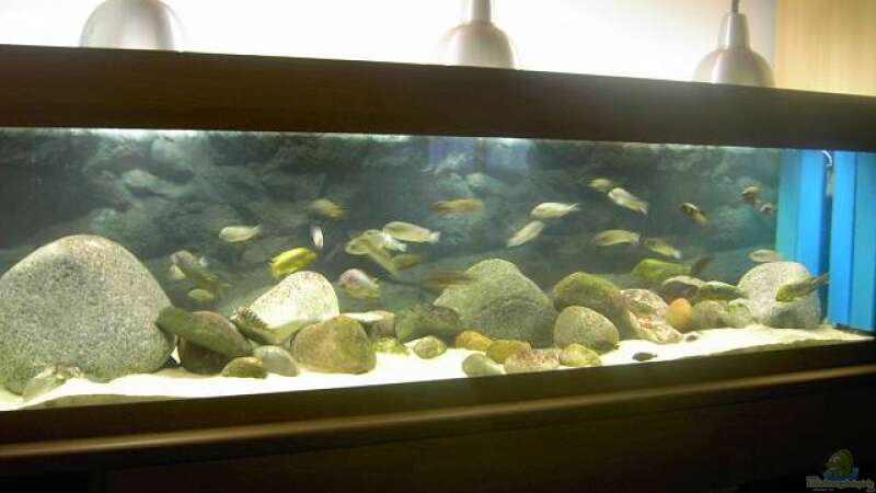 Aquarium Becken 2682 von Enrico Pinkert (2)