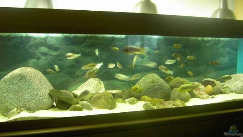 Aquarium Becken 2682 von Enrico Pinkert (3)