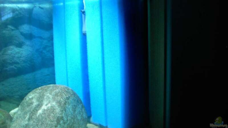Technik im Aquarium Becken 2682 von Enrico Pinkert (5)