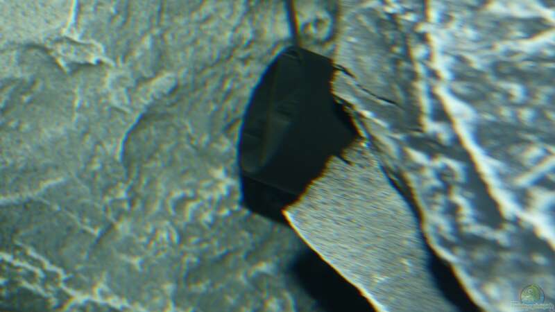 Tunze Turbelle® nanostream® 6025 versteckt hinter einem an die Seite geklebten von Okrim (30)