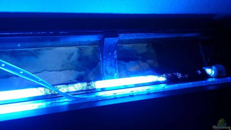 Blaue Röhre + LED Stripe von PhilGabriel (10)