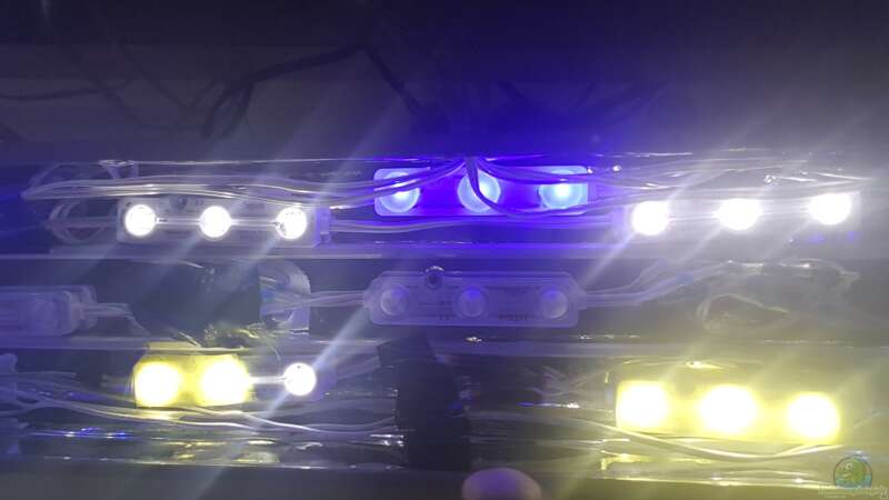 LED Module  von Thomas0902 (32)