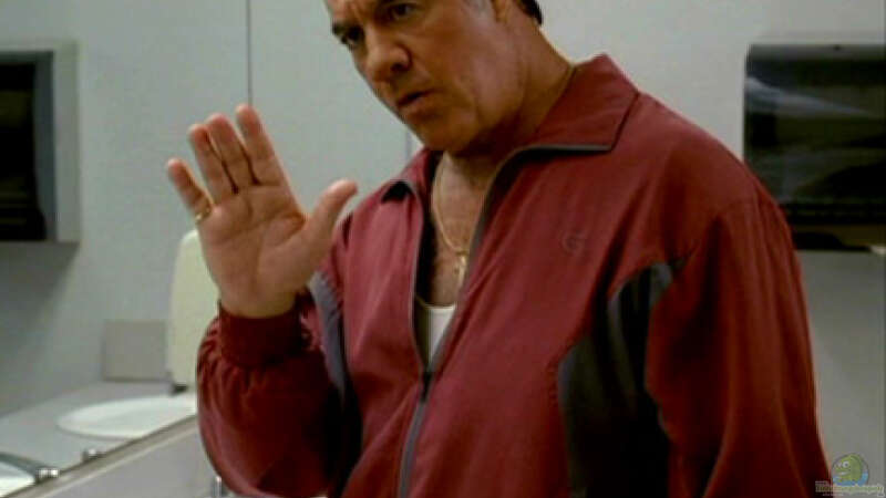 Userbild von Ashdre von Ashdre