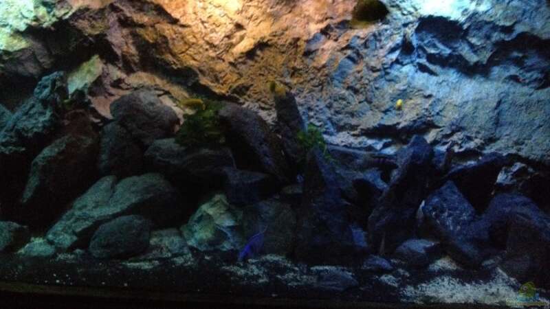 Aquarium stone bay area (closed due!!!) von der Steirer (25)