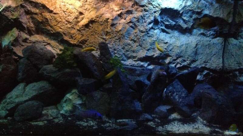Aquarium stone bay area (closed due!!!) von der Steirer (26)