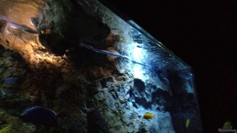 Aquarium stone bay area (closed due!!!) von der Steirer (28)