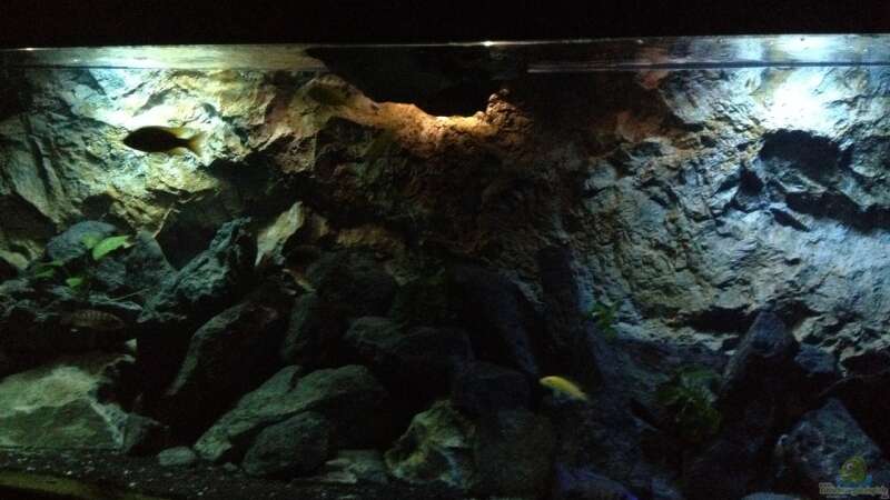 Aquarium stone bay area (closed due!!!) von der Steirer (30)