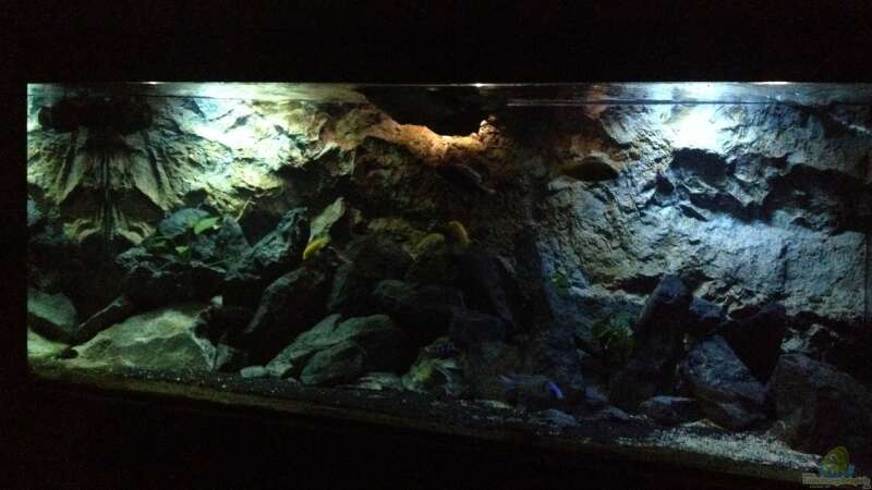 Aquarium stone bay area (closed due!!!) von der Steirer (31)