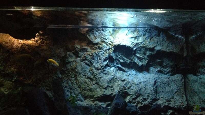 Aquarium stone bay area (closed due!!!) von der Steirer (33)