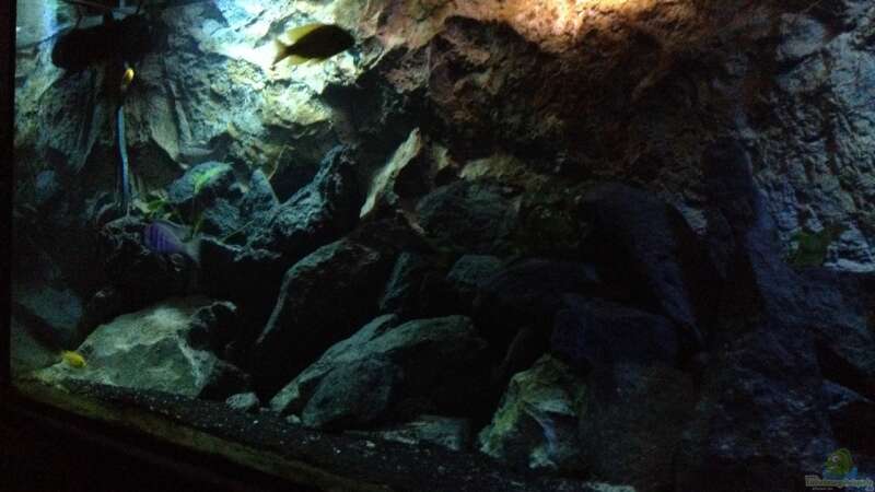 Aquarium stone bay area (closed due!!!) von der Steirer (37)