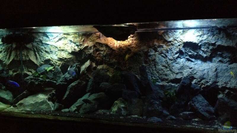 Aquarium stone bay area (closed due!!!) von der Steirer (40)