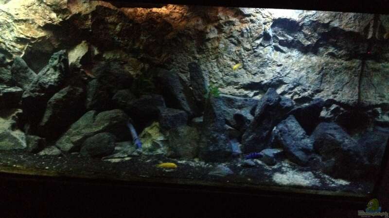 Aquarium stone bay area (closed due!!!) von der Steirer (41)