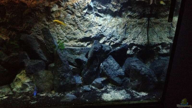 Aquarium stone bay area (closed due!!!) von der Steirer (42)