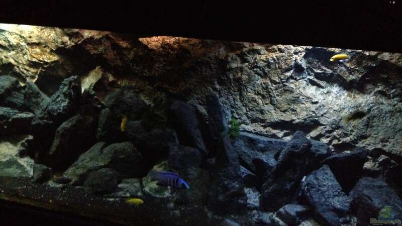 Aquarium stone bay area (closed due!!!) von der Steirer (44)