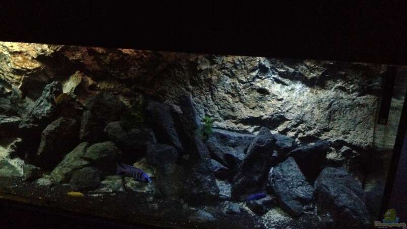 Aquarium stone bay area (closed due!!!) von der Steirer (45)