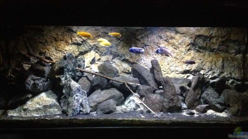 Aquarium stone bay area (closed due!!!) von der Steirer (50)