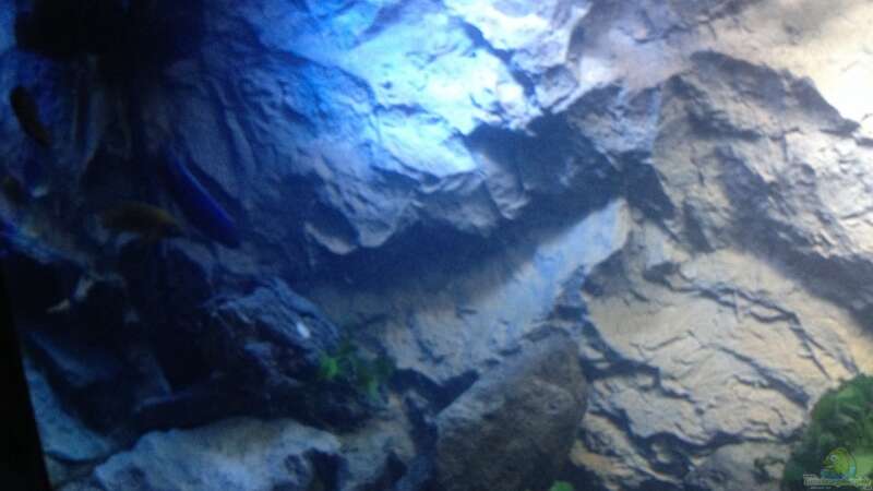Dekoration im Aquarium stone bay area (closed due!!!) von der Steirer (72)
