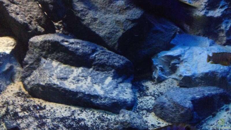 Dekoration im Aquarium stone bay area (closed due!!!) von der Steirer (77)
