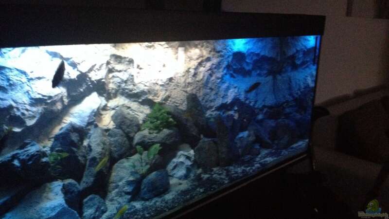 Dekoration im Aquarium stone bay area (closed due!!!) von der Steirer (79)