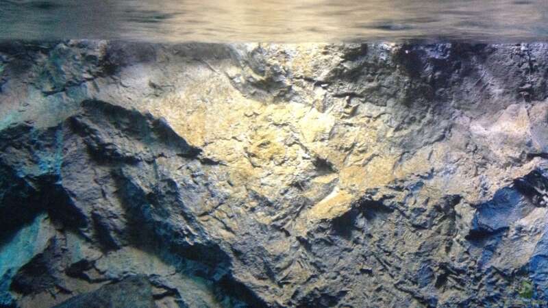 Dekoration im Aquarium stone bay area (closed due!!!) von der Steirer (82)