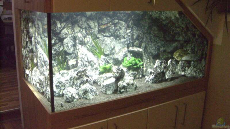 Aquarium Hauptansicht von Die Granithöhle von Markus Maier (1)