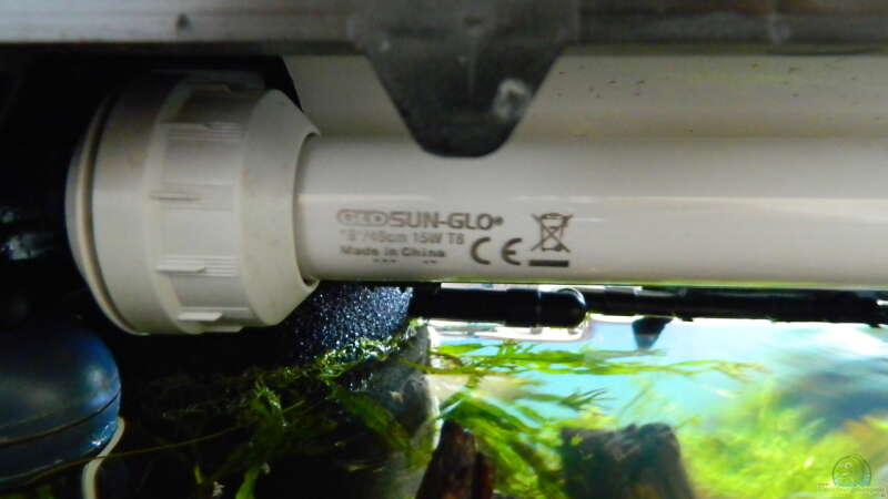 Technik im Aquarium Froschparadies (nur noch Beispiel) von Nick3 (11)
