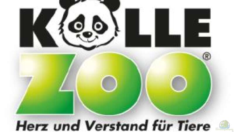 Userbild von Koelle-Zoo von Koelle-Zoo (18)
