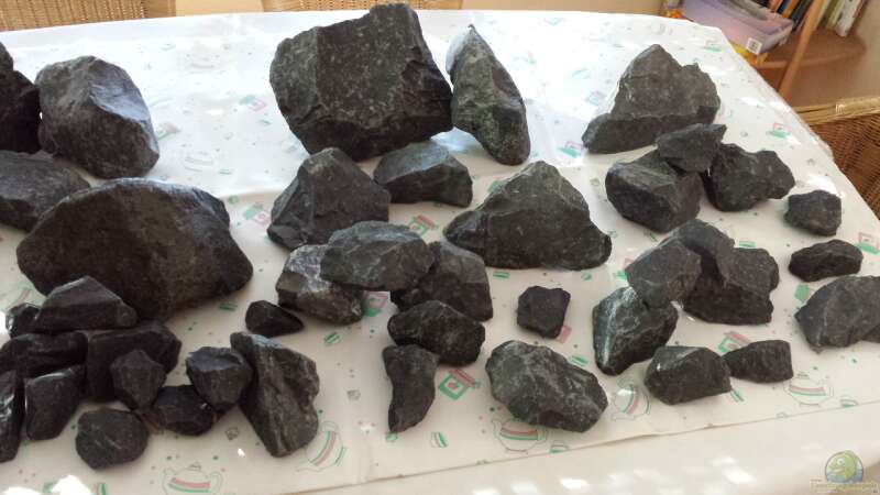 2 Steine davon im AQ Basalt Bruchsteine von http://www.gabione-steinkoerbe.de  von Thomas u. Gabriele P. (34)