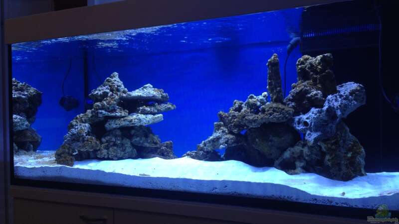 Aquarium Hauptansicht von Reef Dream von kutlesch (1)