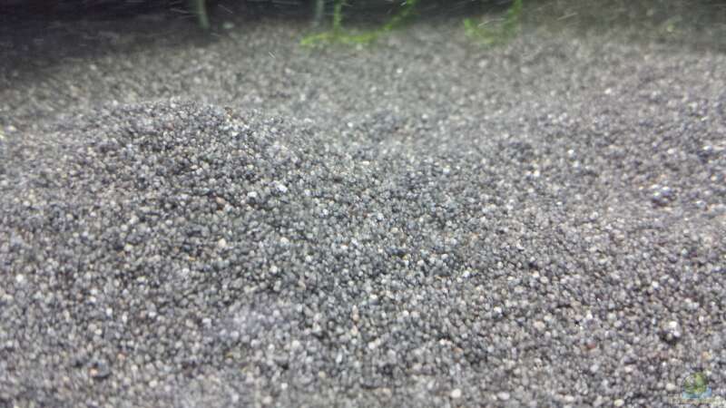 Schwarzer Sand von JohnnyWishbone (10)