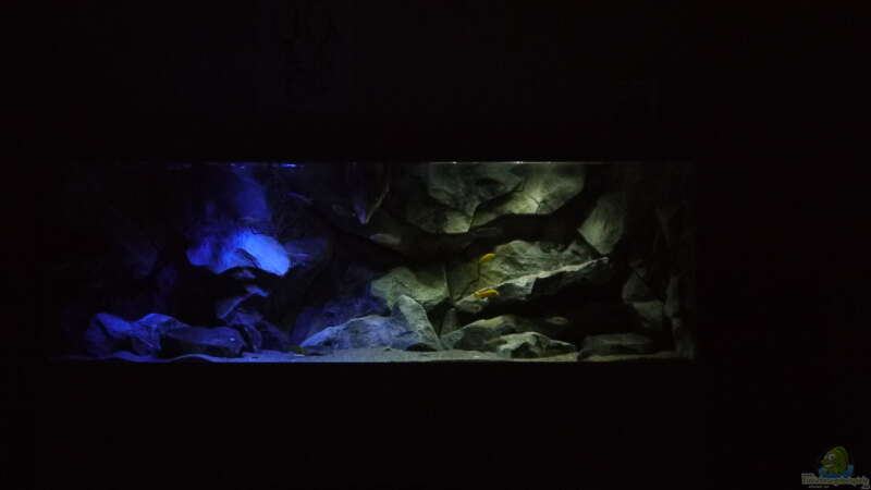 Aquarium Becken 29067 von Sven (7)