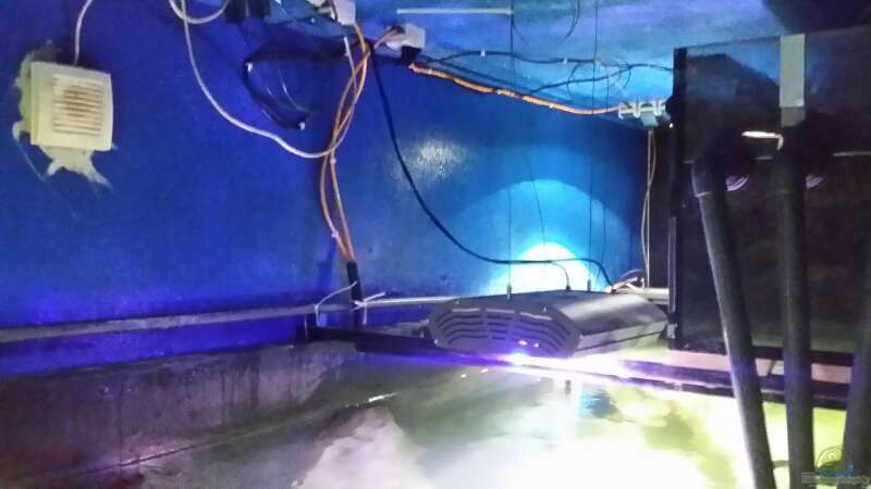 Technik im Aquarium Rochenbecken von Pearlray (18)