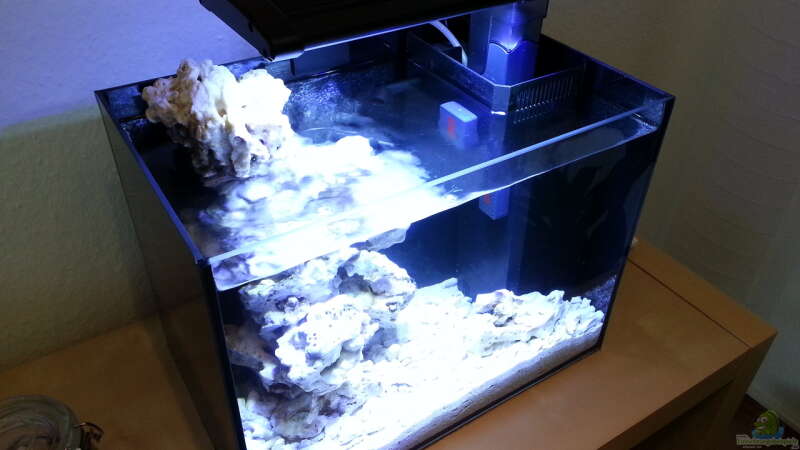 Aquarium neues Projekt...Nano Reef von Jens Kändler (3)