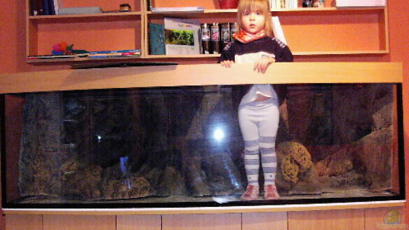 Aquarium nach Lieferung mit kleiner Meerjungfrau von H.T. (2)