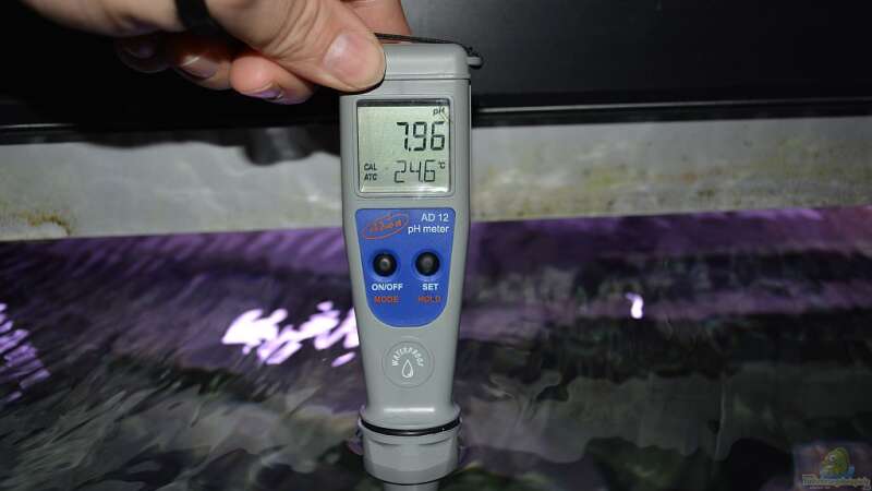 PH Messung: gemessen wird immer einmal vor und einmal nach dem Wasserwechsel von DaKo77 (31)