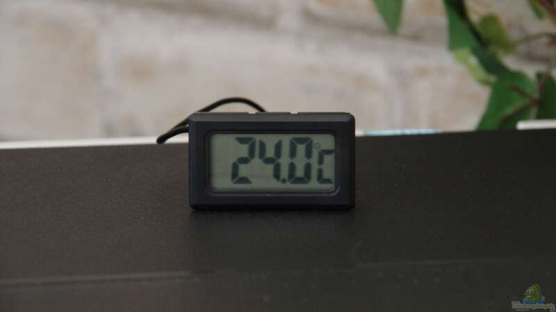 Digital-Thermometer von Herr H. (24)